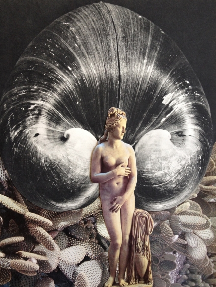 Venus with Shells II, 2012